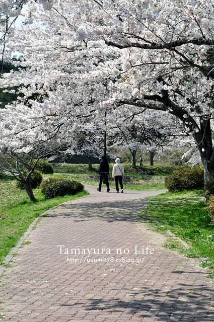 平 筒 沼 ふれあい 公園