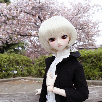 八重桜満開でお人形様もニッコリ_a0067420_16163690.jpg