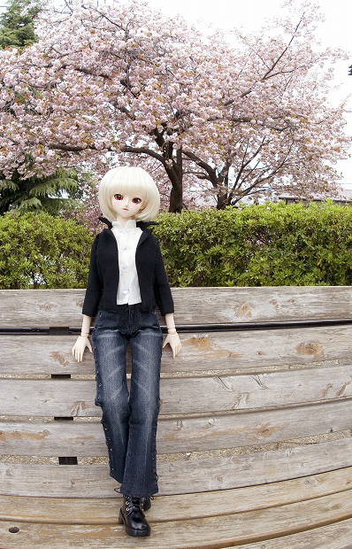 八重桜満開でお人形様もニッコリ_a0067420_1617918.jpg