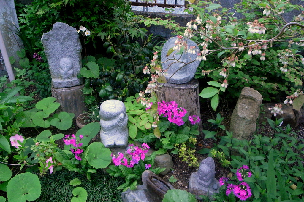 d0072720_1416795.jpg