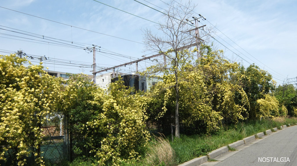 e0255927_03425.jpg