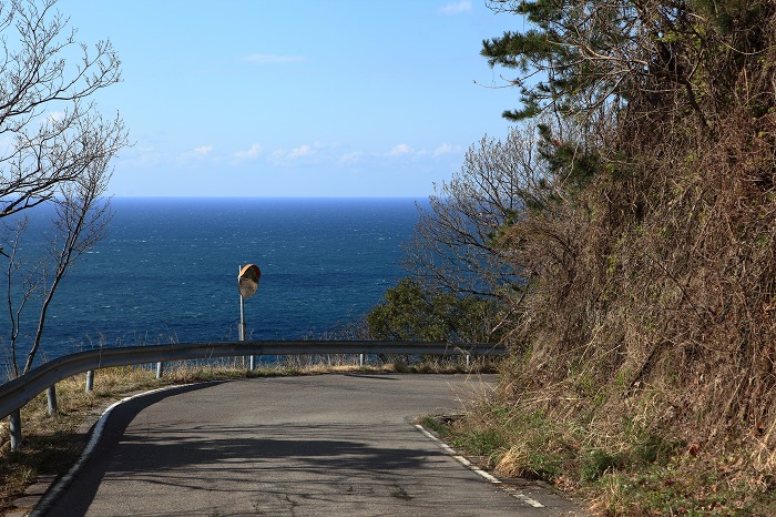 2014 桜 三尾御崎林道_a0294534_10154342.jpg