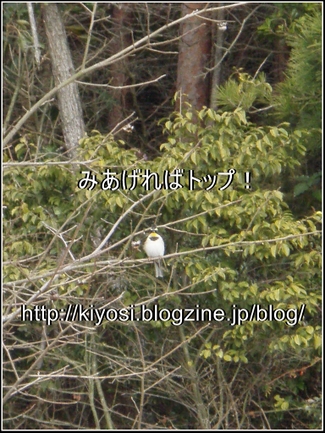 f0335637_23334749.jpg