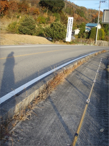 f0335637_2333493.jpg