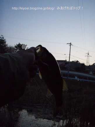 f0335637_23343228.jpg