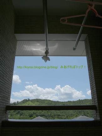 f0335637_23345866.jpg