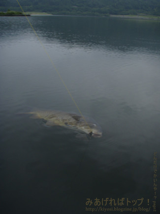 f0335637_23352420.jpg