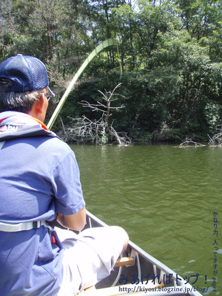f0335637_23352750.jpg