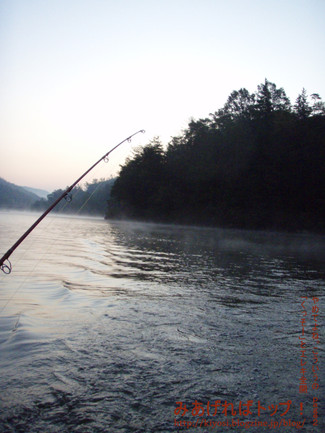 f0335637_2336491.jpg