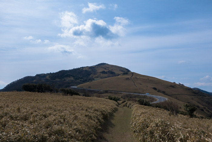 達磨山・金冠山　2014.4.12　（その３）_f0250940_19385996.jpg