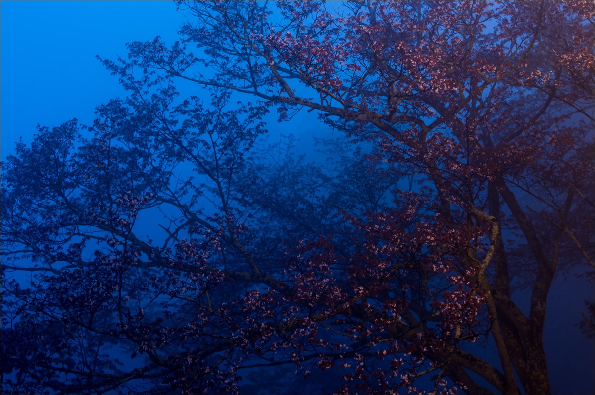 d0058445_1232968.jpg