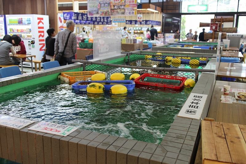 e0237645_14481966.jpg