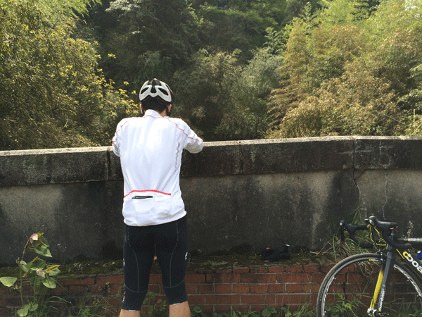 f0229250_14323031.gif