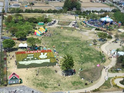 チューリップ祭り！_e0163255_1459353.jpg