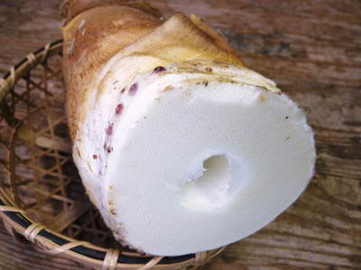熊本の最旬「美味かもん」をご紹介 vol.13_a0254656_18294617.jpg