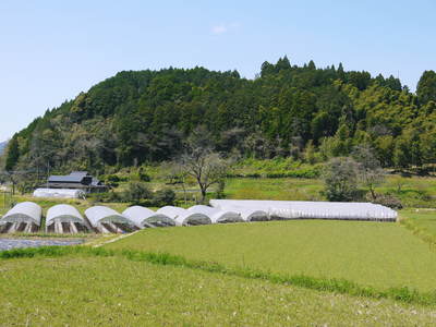 熊本の最旬「美味かもん」をご紹介　vol.13_a0254656_1913674.jpg