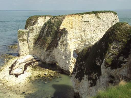 e0010856_4595538.jpg