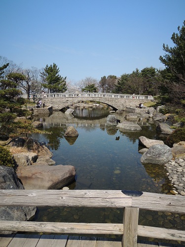 お花見＠鳥屋野潟公園　2014年春_e0047657_1813464.jpg