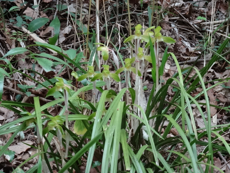 c0108460_17090270.jpg