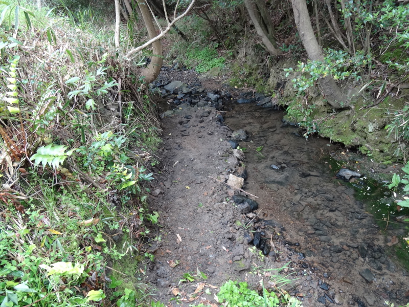 c0108460_17090637.jpg