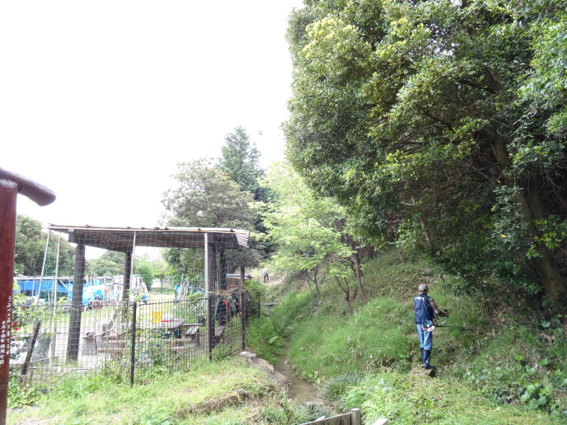 c0108460_17113617.jpg