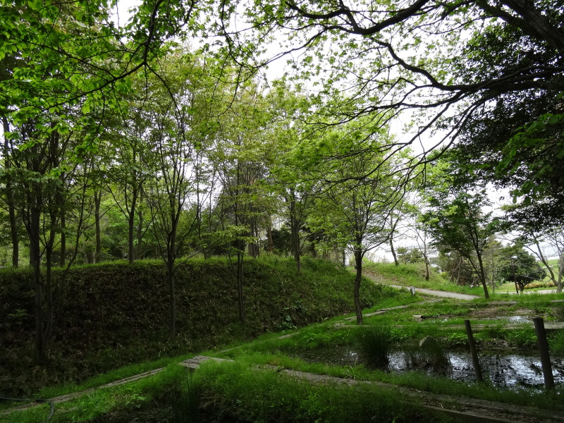 c0108460_17284673.jpg