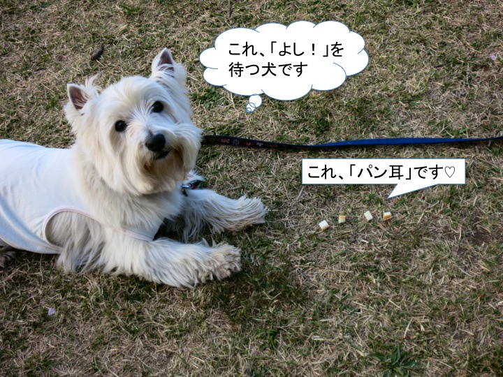 待つ男_c0260460_12504986.jpg