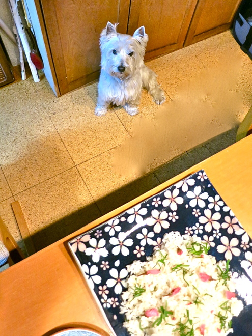 春ごはん♡_c0260460_20434921.jpg