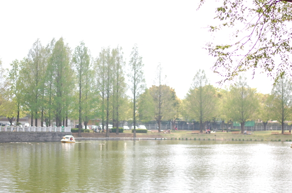 f0176860_13333957.jpg