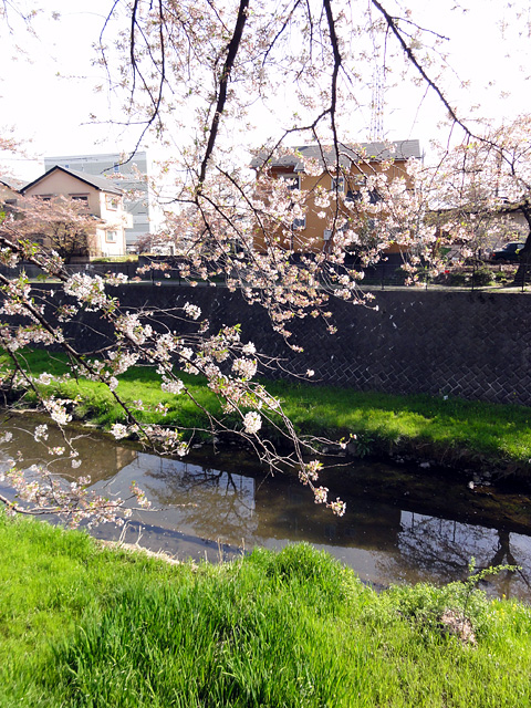 b0006870_10353940.jpg