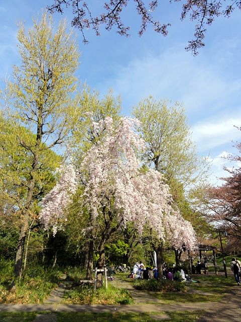 b0006870_10361486.jpg