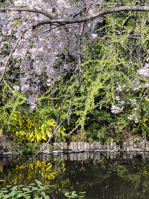 b0006870_1037142.jpg