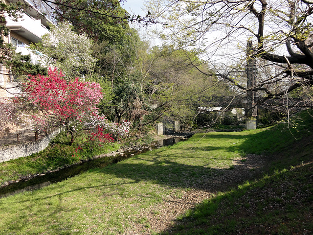 b0006870_10371420.jpg