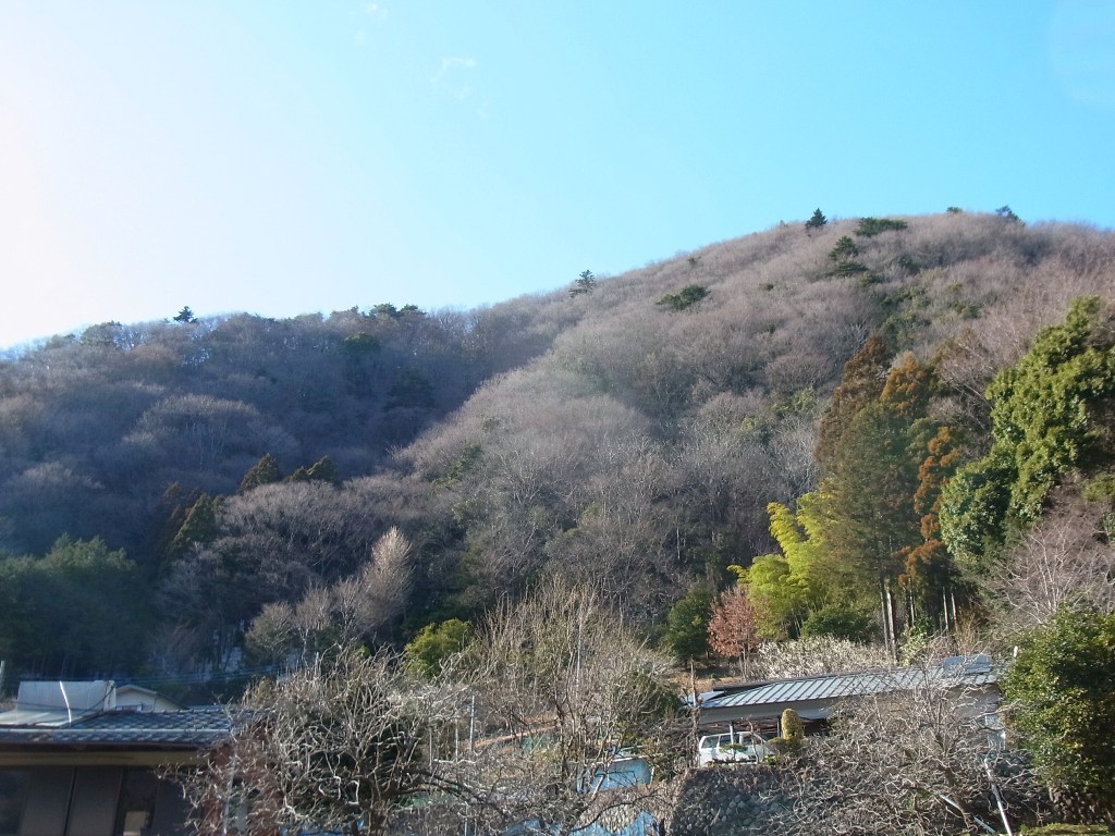 2014/03/21　大川原山 part2_d0233770_20342014.jpg