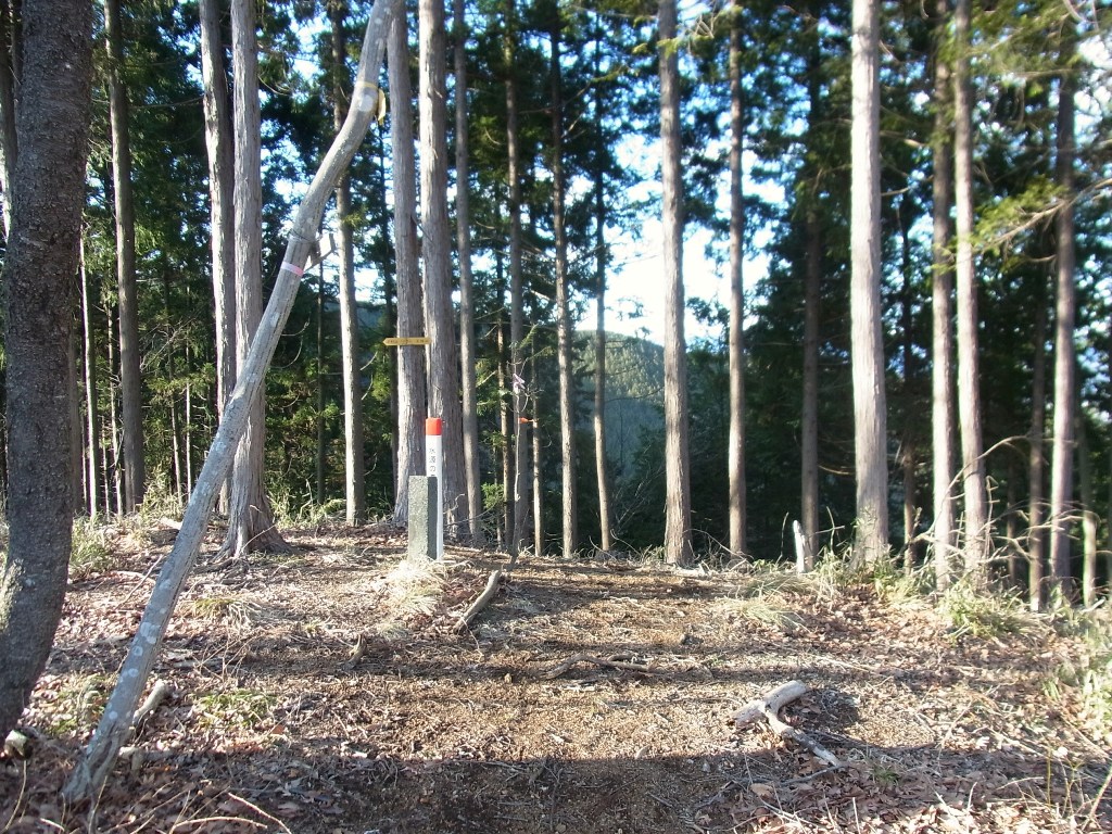 2014/03/21　大川原山 part2_d0233770_20382458.jpg