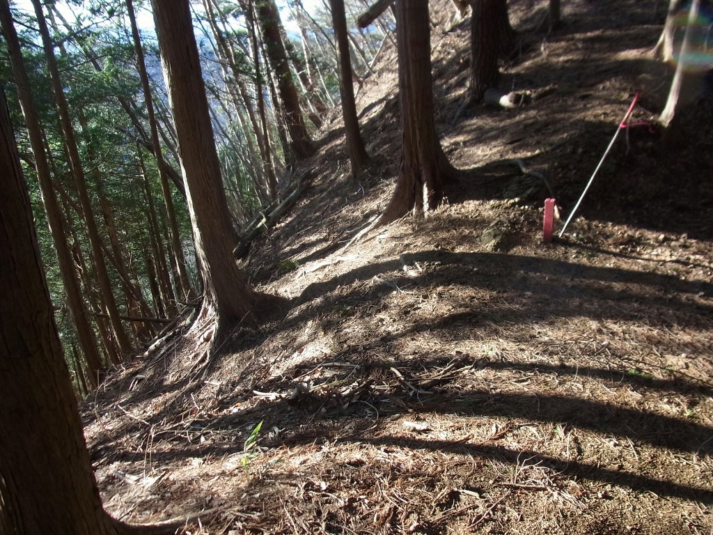 2014/03/21　大川原山 part2_d0233770_20404156.jpg