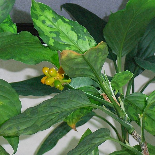 d0249970_21323515.jpg