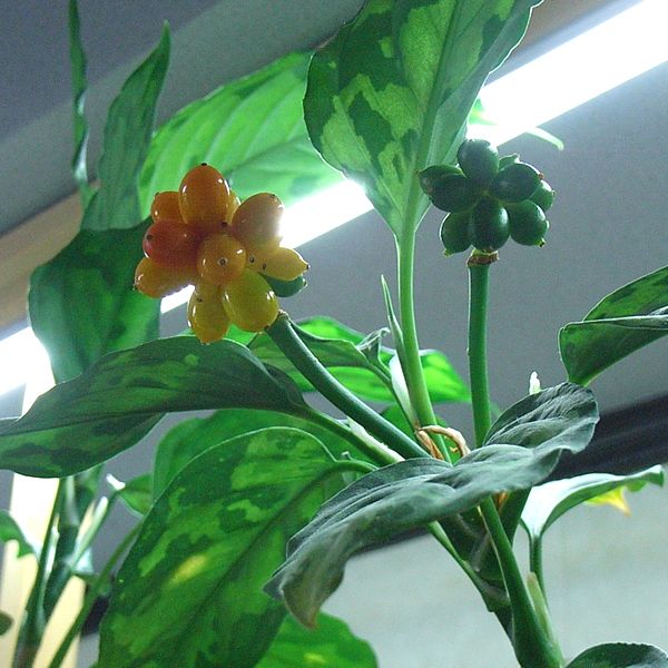 d0249970_21323828.jpg