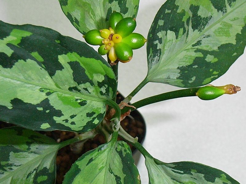 d0249970_2144920.jpg