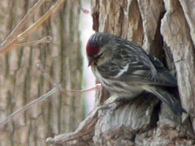 f0083977_2375123.jpg