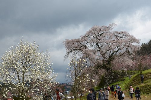 c0229483_9131894.jpg