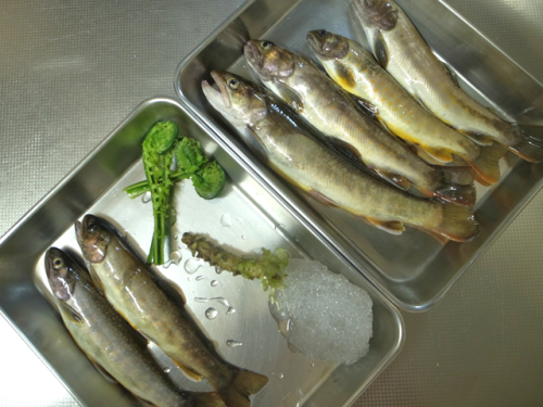 2014 九頭竜の岩魚 _e0271890_22010837.png