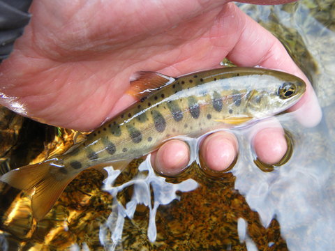 b0304294_9283393.jpg
