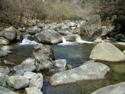 b0304294_9301827.jpg