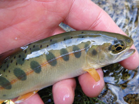 b0304294_9314037.jpg
