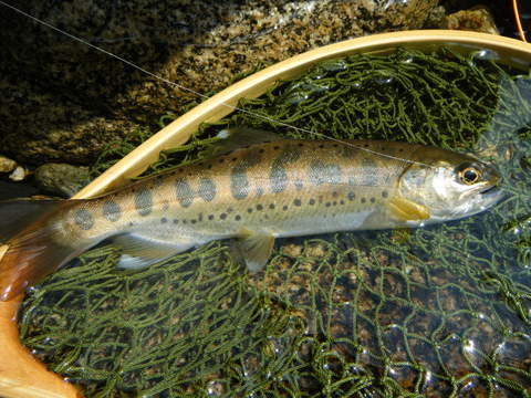 b0304294_932884.jpg