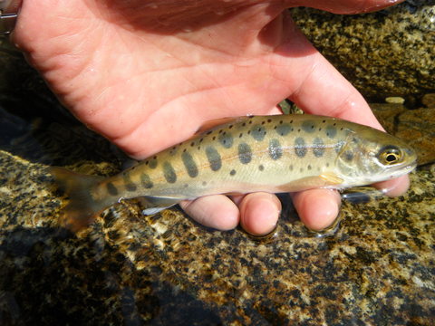 b0304294_933873.jpg