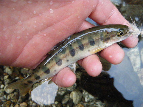 b0304294_953129.jpg