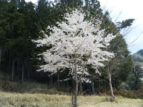 b0304294_95516100.jpg