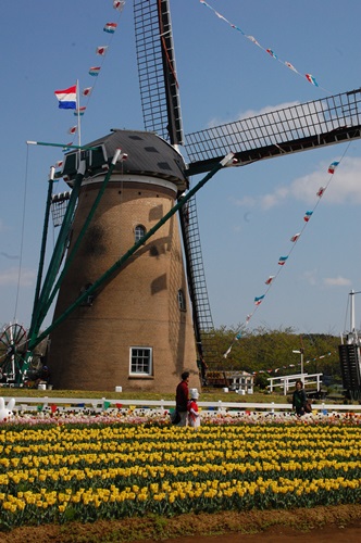 d0153294_2235650.jpg